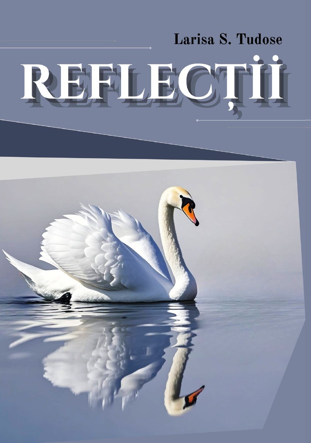 LARISA S. TUDOSE REFLECȚII